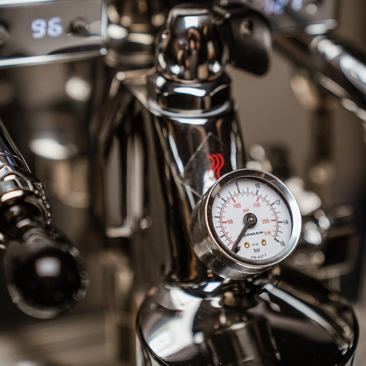 Botticelli Specialty – Pasquini Espresso Co.