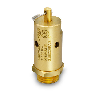 Commercial Vacuum/Safety Valve